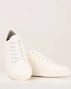 Baskets