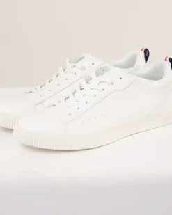 Baskets basses