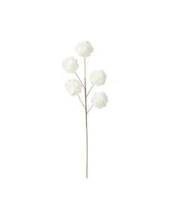 Branche 5 fleurs