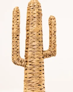 CACTUS T2