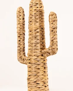 CACTUS T2