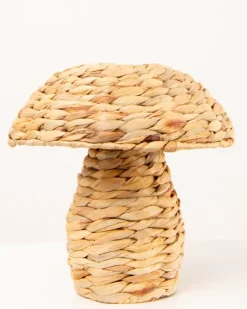Champignon photophore