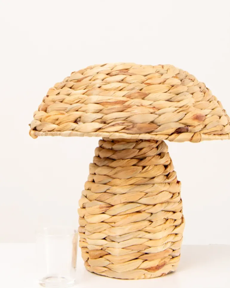 Champignon photophore