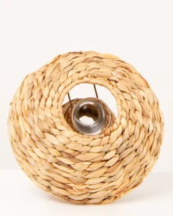 Champignon photophore