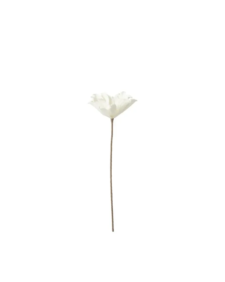 Fleur blanche