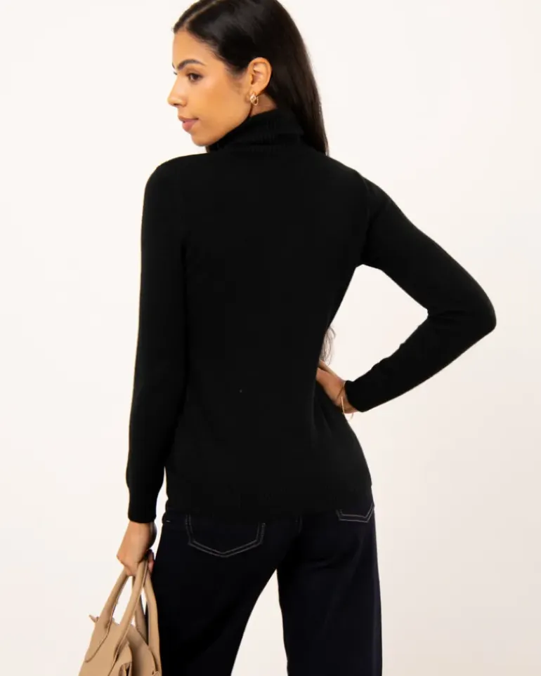 Pull col roulé épais