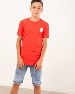 T-Shirt ours